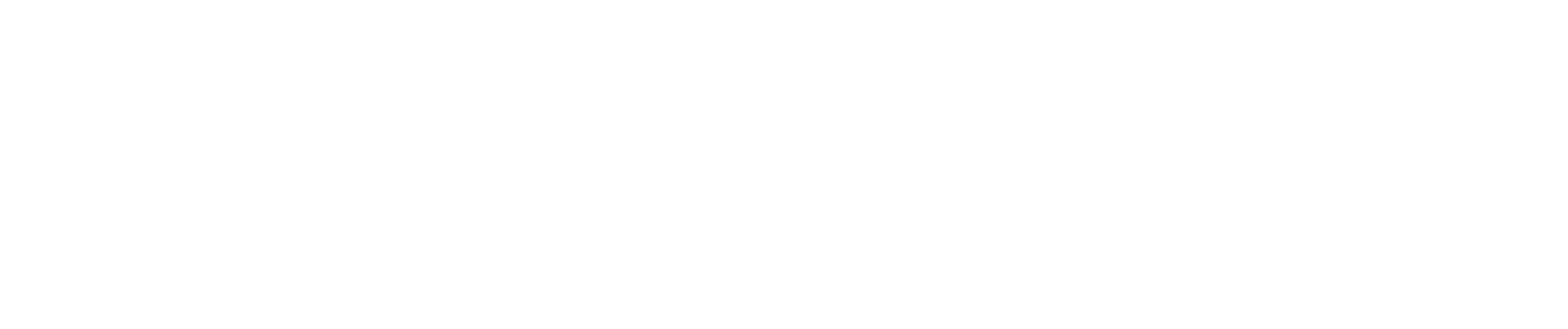 Co-Funded by the EU logo white